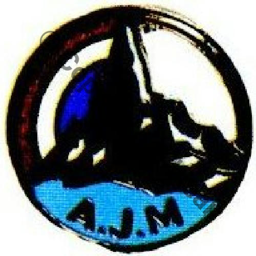 AJM Ancien Jeunesse et Montagne AUGIS Email 1946 15mm Boutonniere Retirage amicale AAAJM Sc.S&T